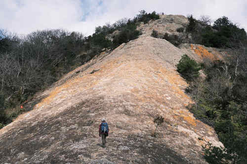 DSCF0298.jpg