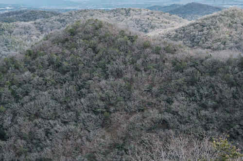 DSCF0346.jpg