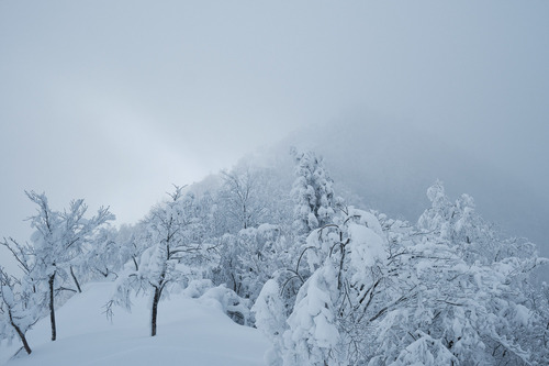 DSCF0674.jpg