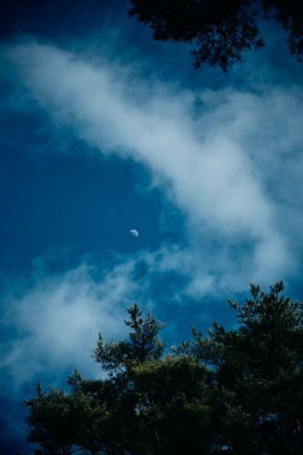 DSCF0778.jpg