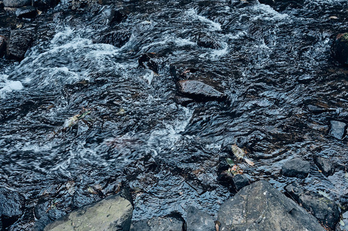DSCF4634.jpg