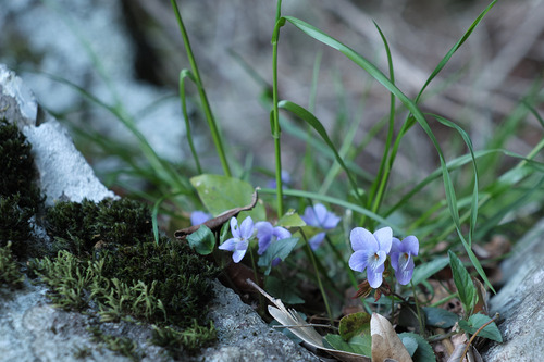 DSCF4641.jpg