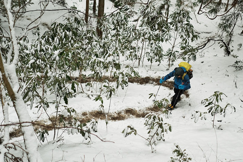 DSCF5080.jpg