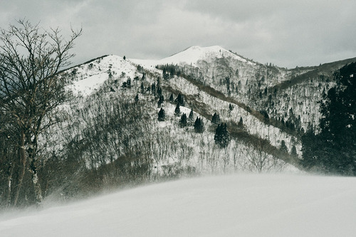 DSCF5087.jpg