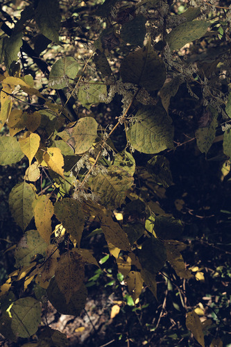 DSCF6385.jpg