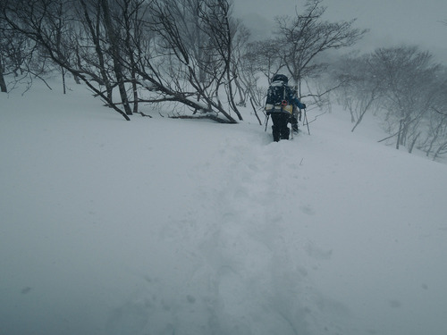 DSCN0499.jpg