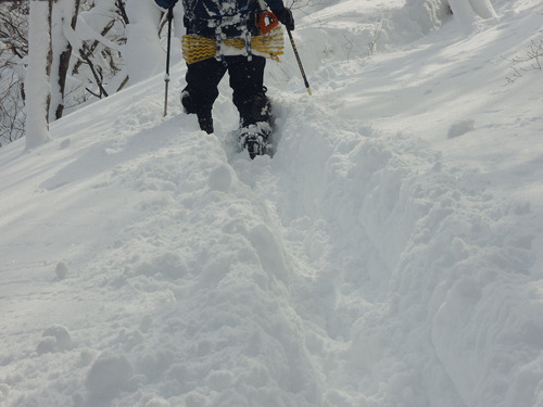 DSCN0538.jpg