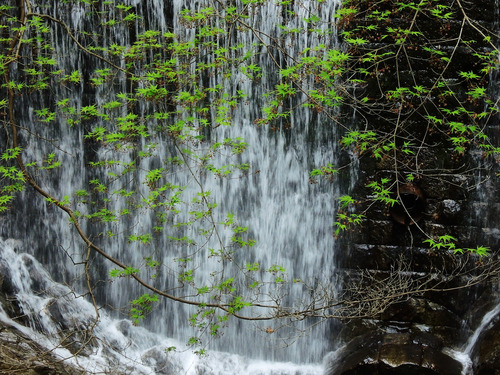 DSCN0700.jpg