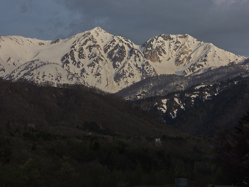 DSCN0772.jpg