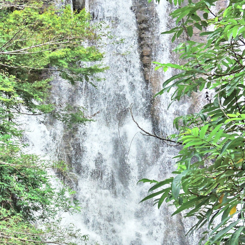 DSCN5080_1.jpg