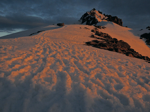 DSCN6645.jpg