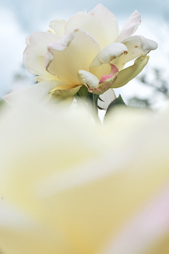 DSC_0054_1.jpg