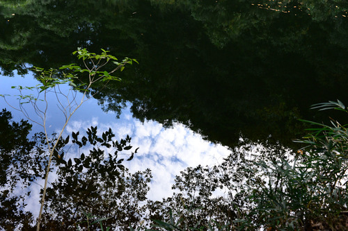 DSC_1292_1.jpg