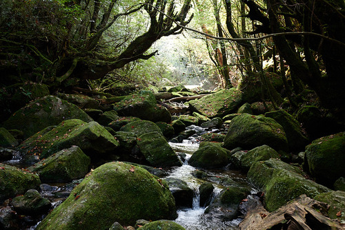 DSC_1578.jpg
