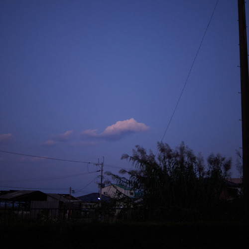 DSC_1669.jpg