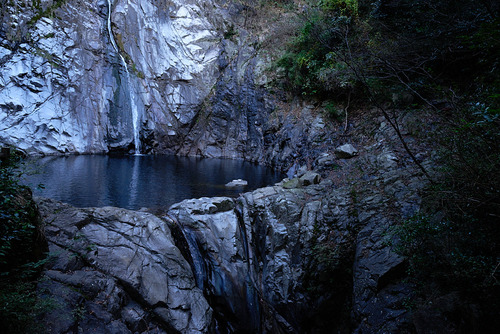DSC_1712.jpg