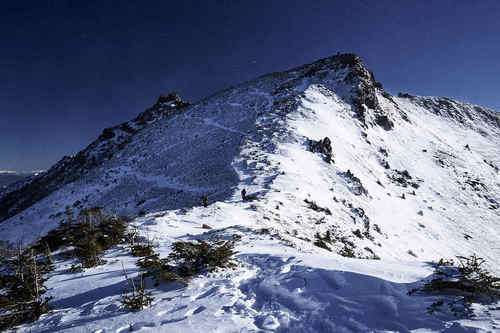 DSC_1873.jpg