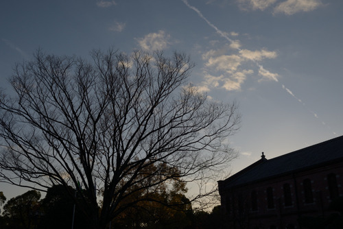blog_00004.jpg