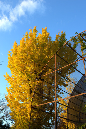 blog_00006.jpg