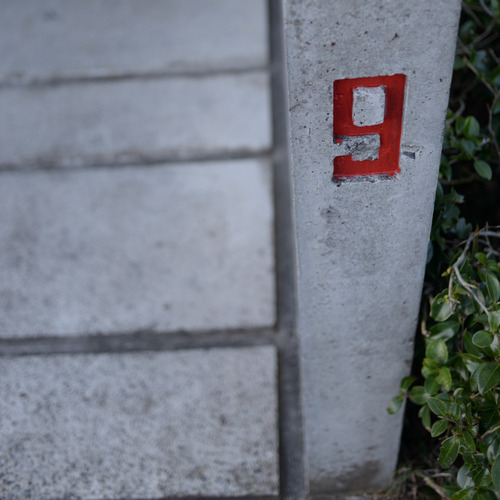 blog_00103.jpg