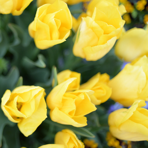 blog_01001.jpg