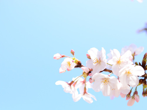 blog_01001.jpg