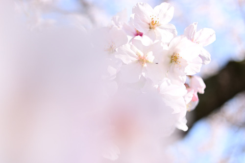 blog_01002.jpg