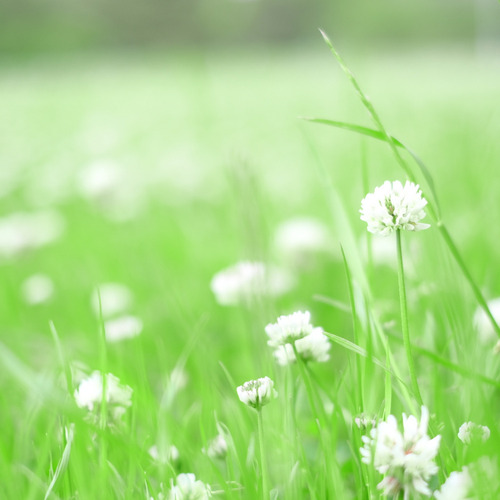 blog_011.JPG